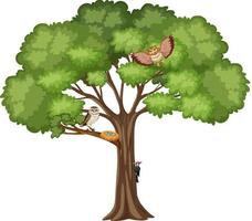 Owls with nest on the tree vector