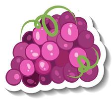 Cluster of grapes in cartoon style vector