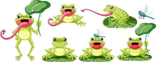 Set of different frogs in cartoon style vector