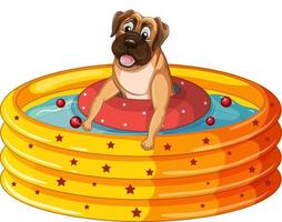 Cute puppy dog  in rubber swimming pool vector