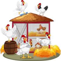 An isolated scene with a group of chickens in cartoon style vector