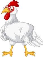 White chicken cartoon character vector