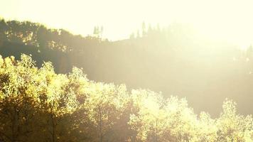 Tal mit Herbstbäumen zwischen den Bergen, die bei Sonnenuntergang von der Sonne beleuchtet werden video