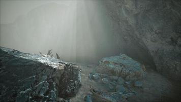 rocky cliff with sand beach in deep fog video