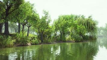 estanque de 8k del parque central de la ciudad en un día de verano video
