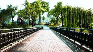 old bridge in park in summer time video