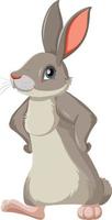 Cute rabbit standing alone vector