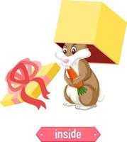 Prepostion wordcard design with bunny inside box vector