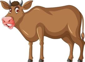 Brown cow standing cartoon character vector