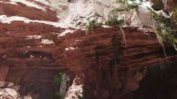 dentro de uma caverna de calcário com plantas e brilho do sol video