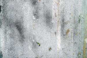 Textured dirty rough cement concrete background. Grunge wall for pattern and background. photo