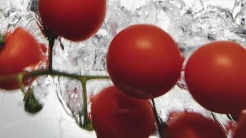 Branch with small ripe red cherry tomatoes falls down into clear water on white background extreme close view slow motion video