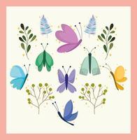 butterflies and plants vector
