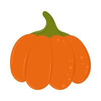 pumpkin fresh icon vector