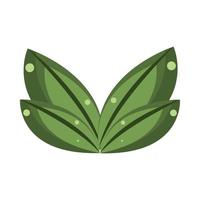 jungle leaves nature vector