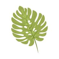 tropical exotic leaf vector