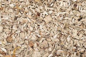 wood shavings or sawdust photo