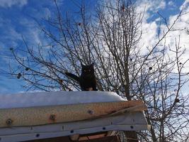 winter day in the Russian village snow well blue sky photo