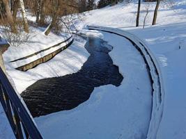 invierno en el parque pavlovsky nieve blanca y árboles fríos foto