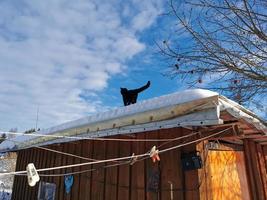 día de invierno en el pueblo ruso nieve bien cielo azul foto