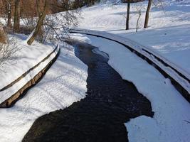 invierno en el parque pavlovsky nieve blanca y árboles fríos foto