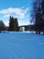 invierno en el parque pavlovsky nieve blanca y árboles fríos foto