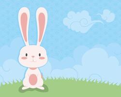 rabbit in the field vector