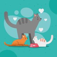 cats mascots with hearts vector