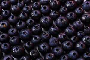 close up of blueberries in a studio photo
