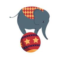 elefante de circo en bola vector