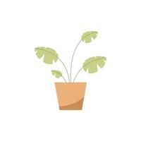 houseplant in pot vector