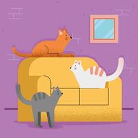 cats mascots in sofa vector