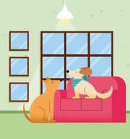 cute dogs in livingroom vector