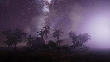 Via Láctea sobre a floresta tropical. video
