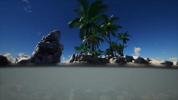 brown muddy water and palms on island
