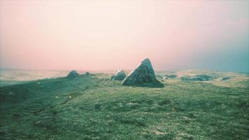 alpine meadow with rocks and green grass video