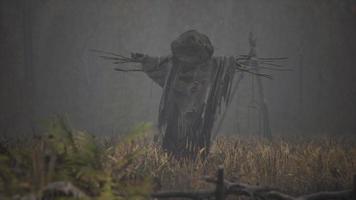 terrible espantapájaros en capa oscura y sombrero sucio está solo en el campo de otoño video