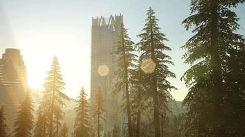 park forest and skyscrapes at sunset video