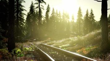 autumn colours along a railway track at sunset video