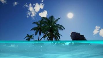 vista dividida seção transversal da água do mar e palmeiras na ilha video