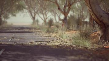 estrada aberta na austrália com arbustos