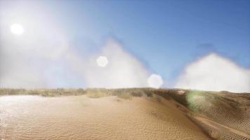 dunes de l'erg chebbi dans le désert du sahara video