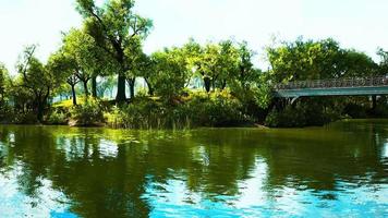 lagoa de 8k do parque central da cidade em dia de verão video