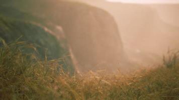 golden rocks and grass in mountains video