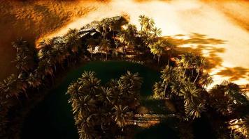 top down aerial view of oasis in desert video