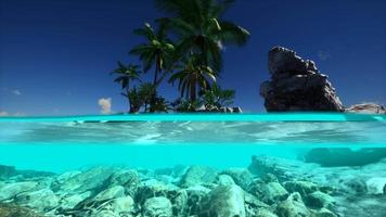 gesplitste weergave dwarsdoorsnede van zeewater en palmbomen op het eiland video