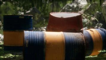 Rusty barrels in green forest video