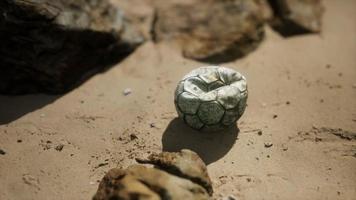 oude voetbalbal op het zandstrand video