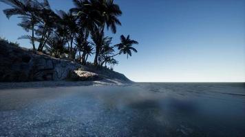 Tropical island of Maldives in ocean video