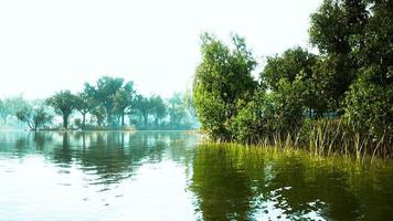 scenic view of the park in the center of the big city in the summer video